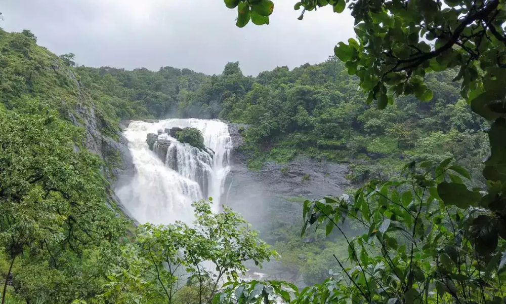 Coorg (Kodagu), Karnataka